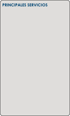 &nbsp;PRINCIPALES SERVICIOS 